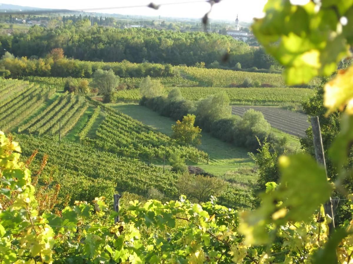 Вилла Capriva Del Friuli - Casa Roncus Экстерьер фото